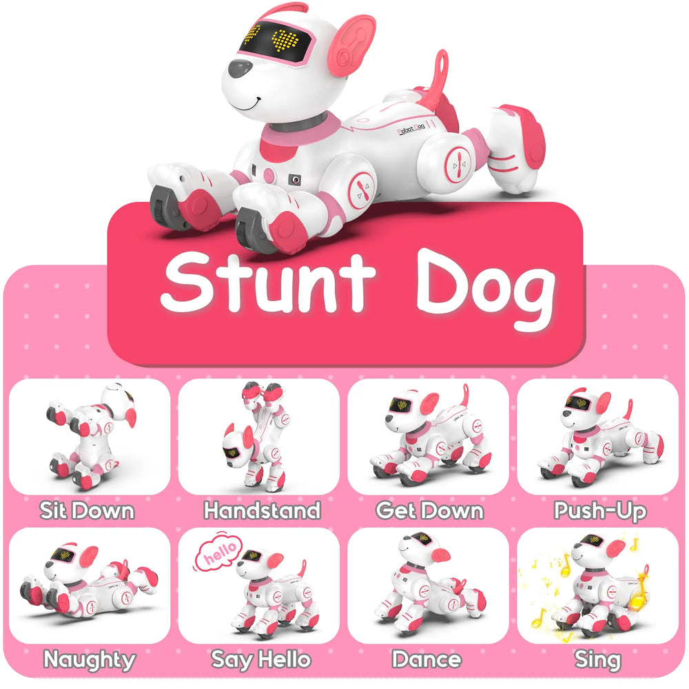 Interactive Programmable Robot Dog
