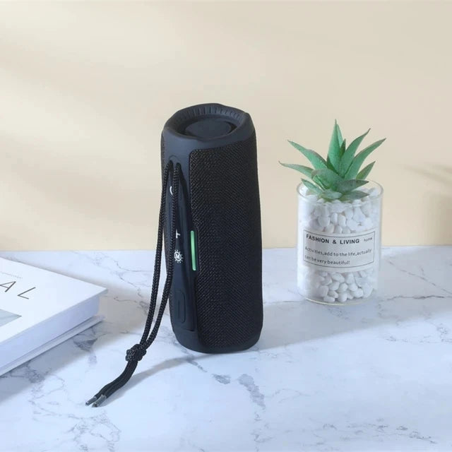 Portable FM Bluetooth Bass Speaker