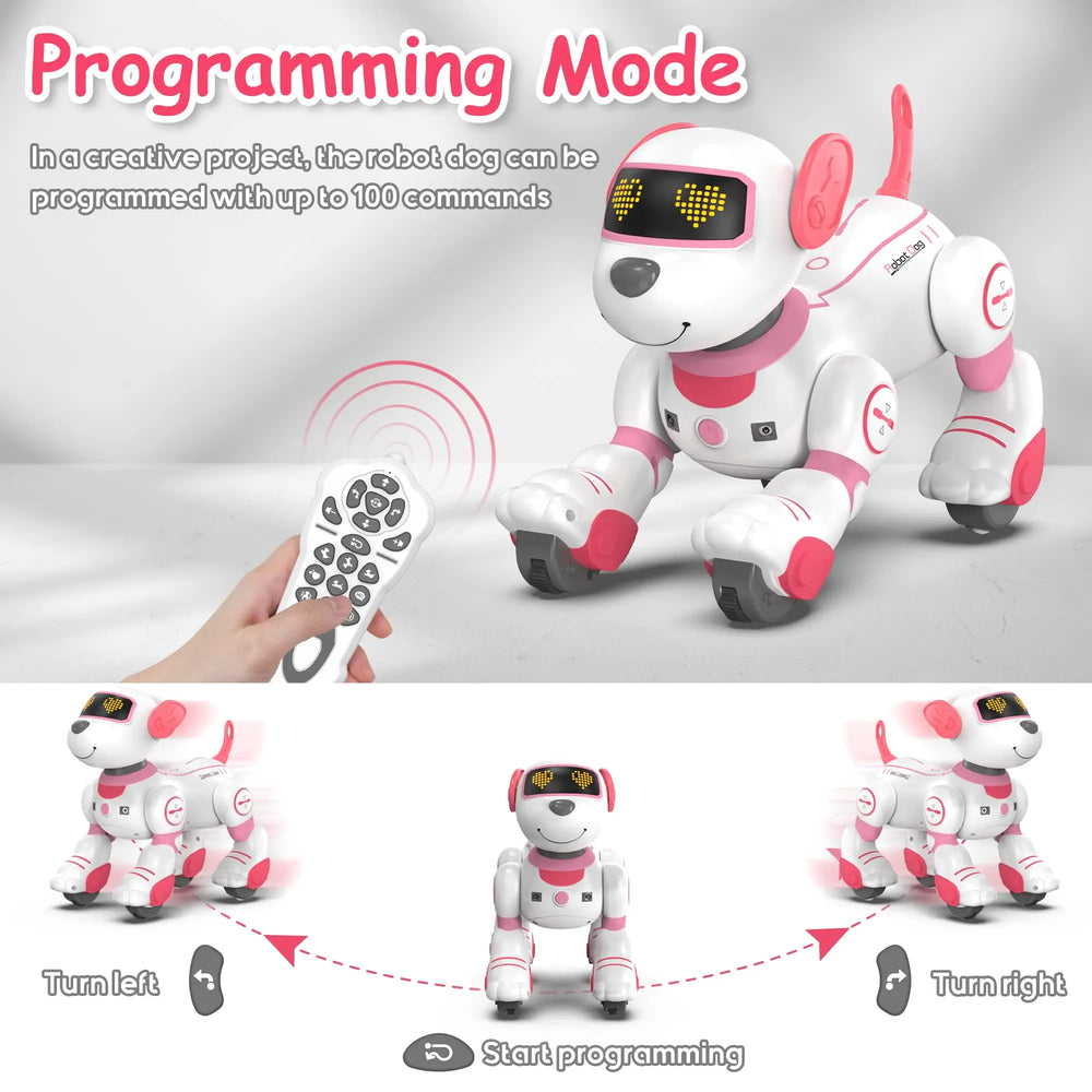 Interactive Programmable Robot Dog