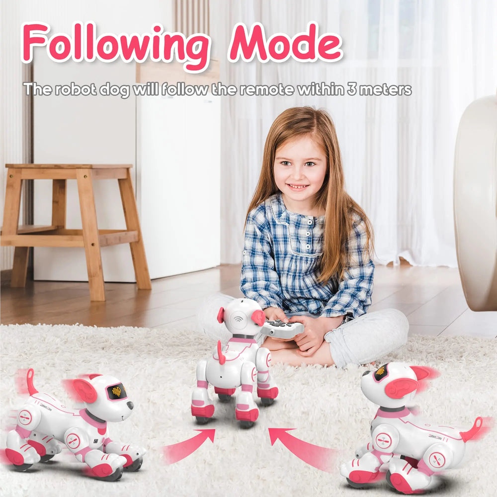 Interactive Programmable Robot Dog