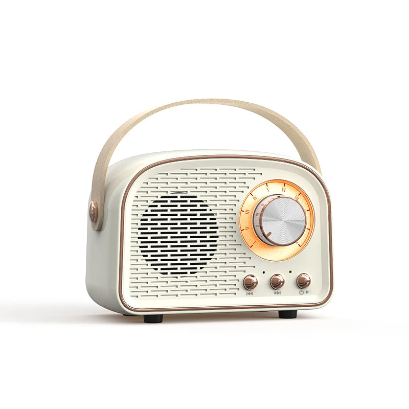 DW21 Retro Mini Speaker