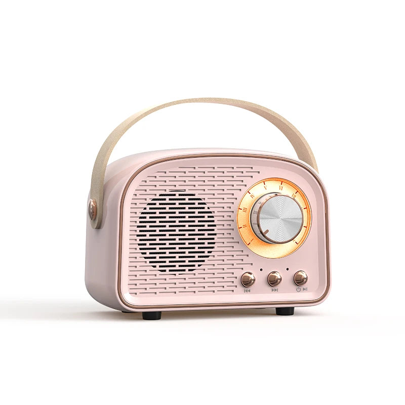 DW21 Retro Mini Speaker
