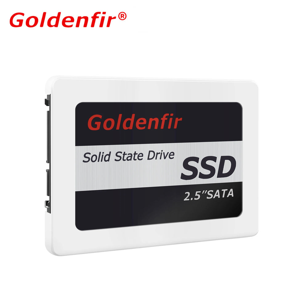 Goldenfir 2.5-Inch SATA SSD Drive