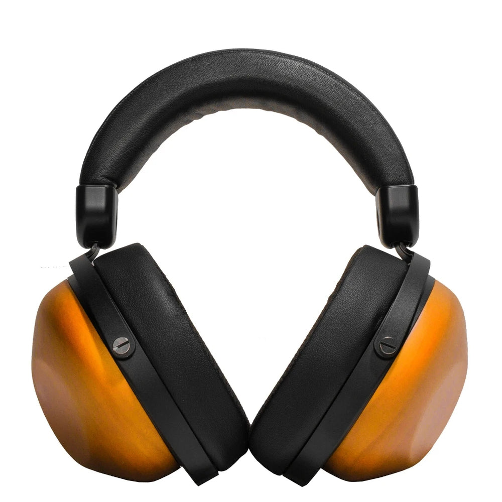 HIFIMAN HE-R10D Closed-Back Headphones