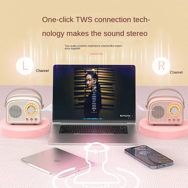 DW21 Retro Mini Speaker